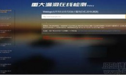 漏洞在线观看,在线观看，共筑网络安全防线