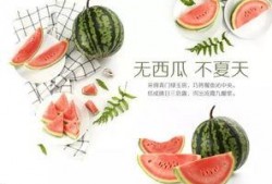 潍坊吃瓜网红,带你领略当地美食风情