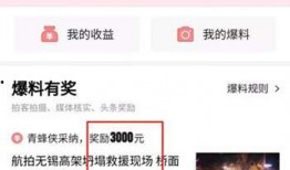 天津爆料今日头条视频,今日头条视频揭示惊人内幕