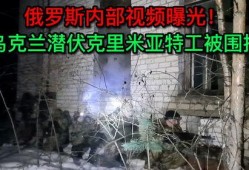 俄罗斯内部爆料视频网站,爆料视频网站曝光惊人内幕