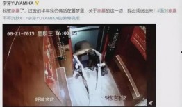 爆料小孩家暴视频大全最新,最新儿童家暴视频汇总警示录