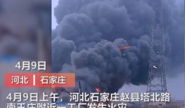 最新火灾新闻爆料,多部门全力救援