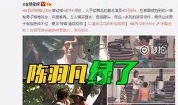 日本东谷爆料事件视频大全,视频大全深度解析