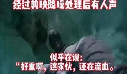西藏客栈爆料事件真相视频,真相背后的曲折历程