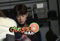 魏大勋女友爆料视频播放,揭秘明星恋情背后的真相