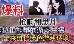 天龙主播爆料视频大全集,揭秘幕后真相与精彩瞬间